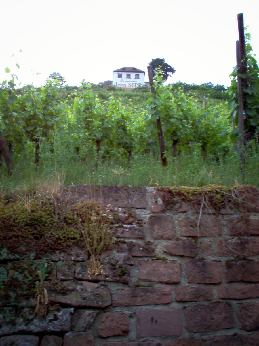 Ribeauvillé – France