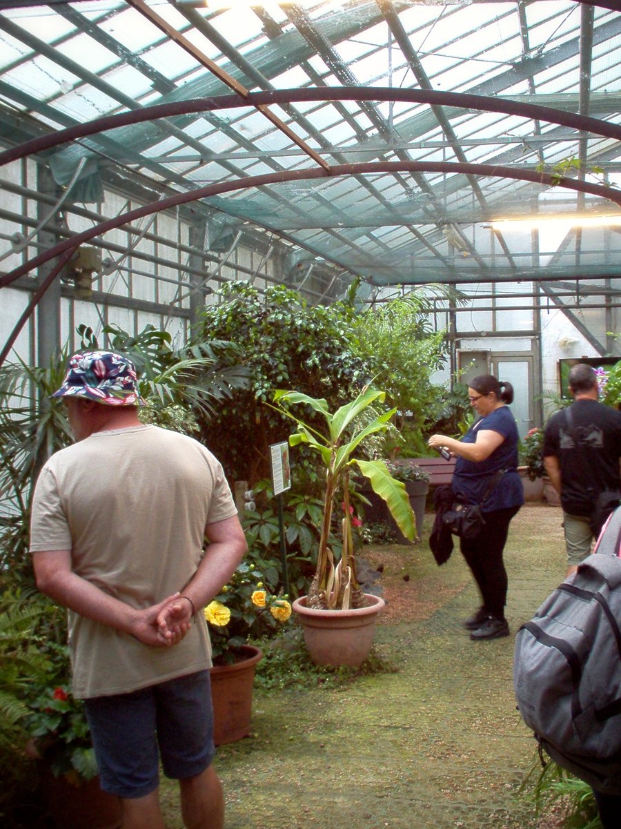 Vlindertuin