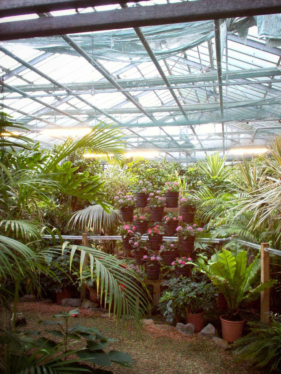 Vlindertuin