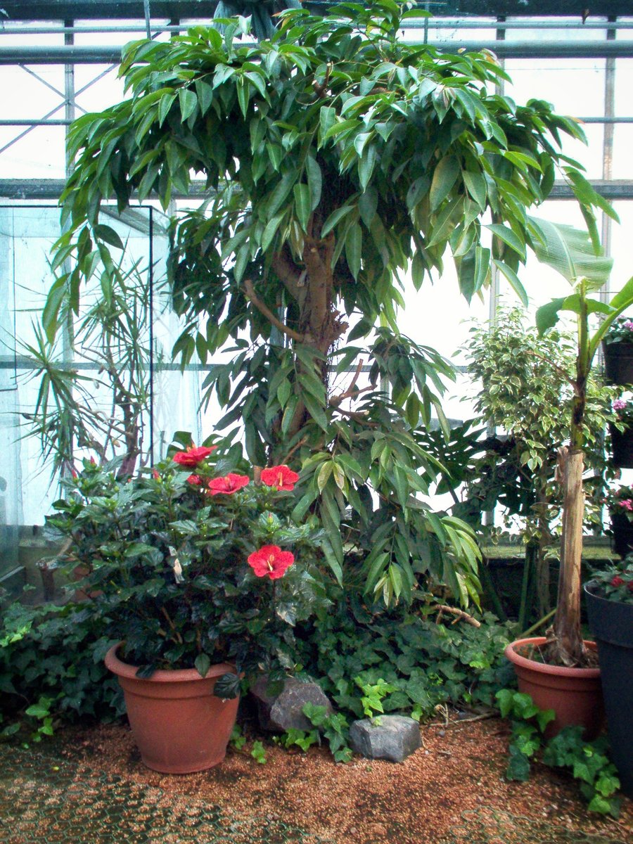 Vlindertuin
