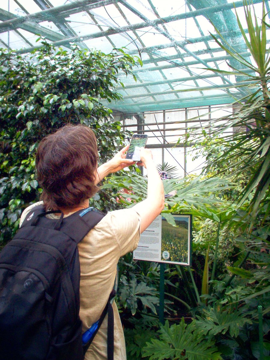 Vlindertuin