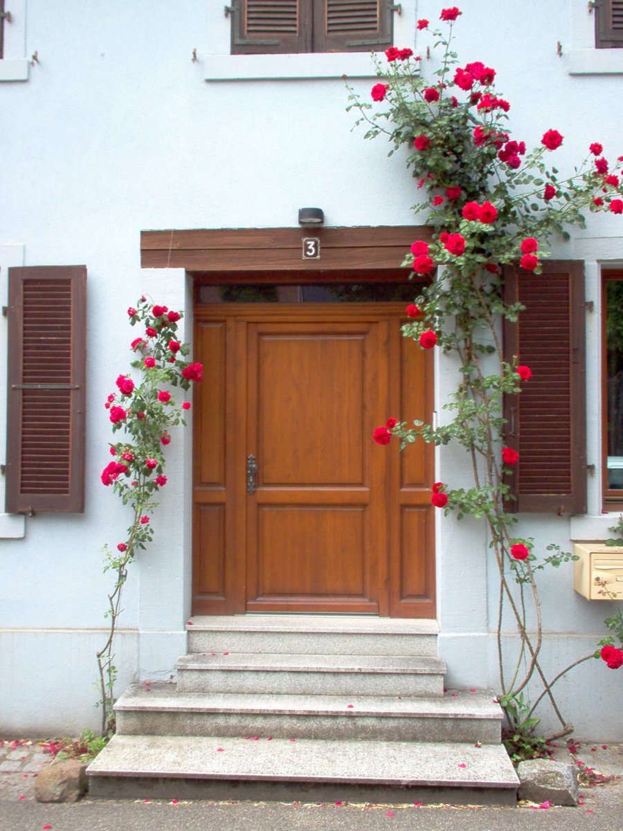 Riquewihr – France