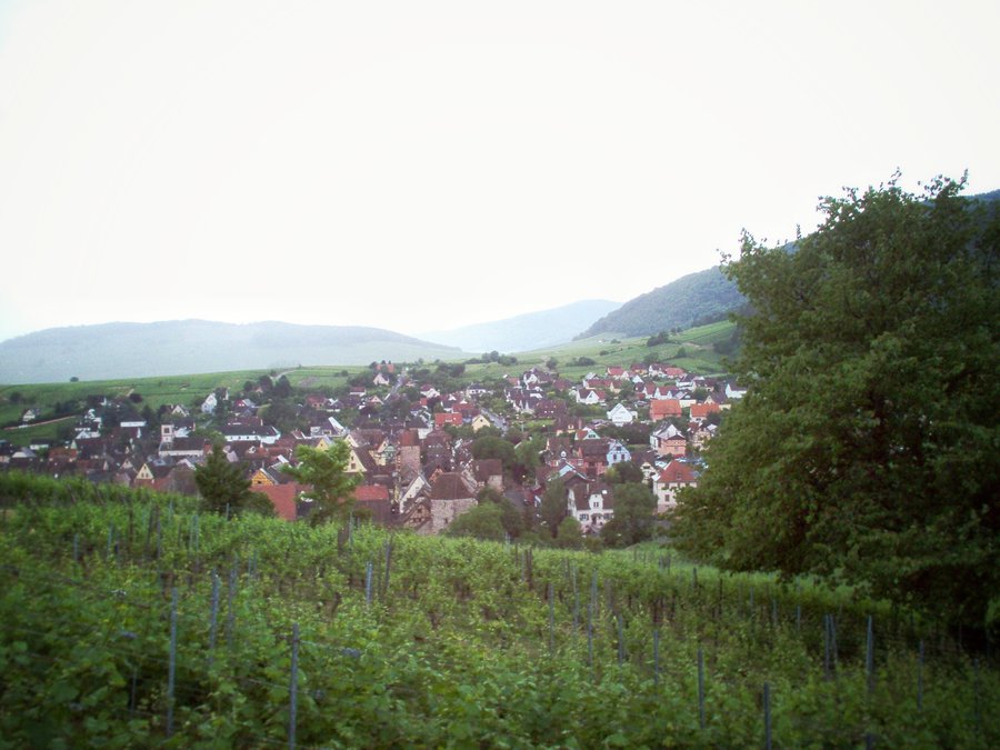 Riquewihr – France