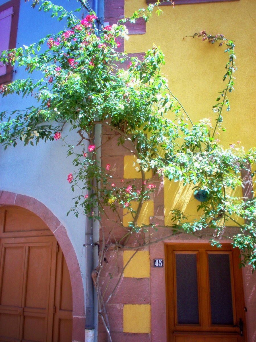 Kaysersberg city centre – France