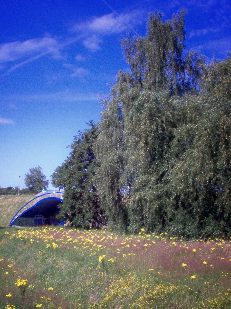 Near John Maynard Kreynesstraat – Hengelo, the Netherlands