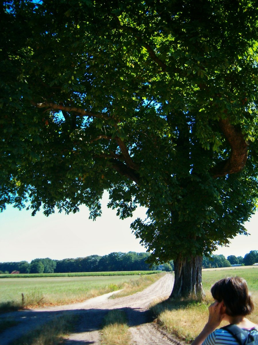 Lochemse Berg