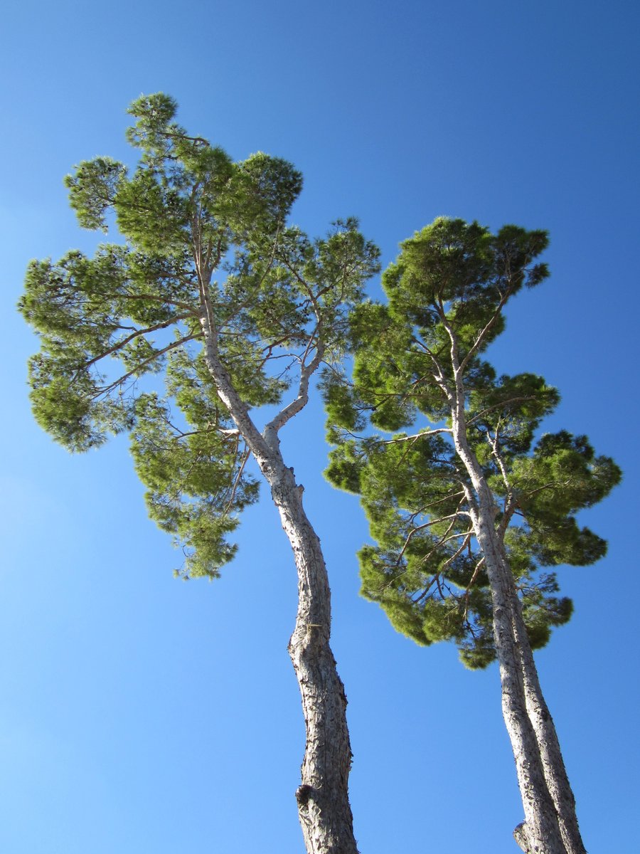 Pollença part 1 – Mallorca