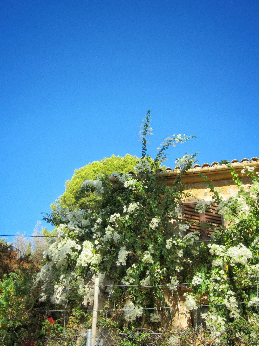Pollença part 1 – Mallorca