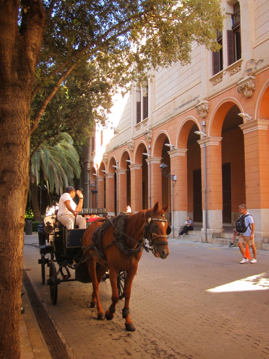 Palma de Mallorca