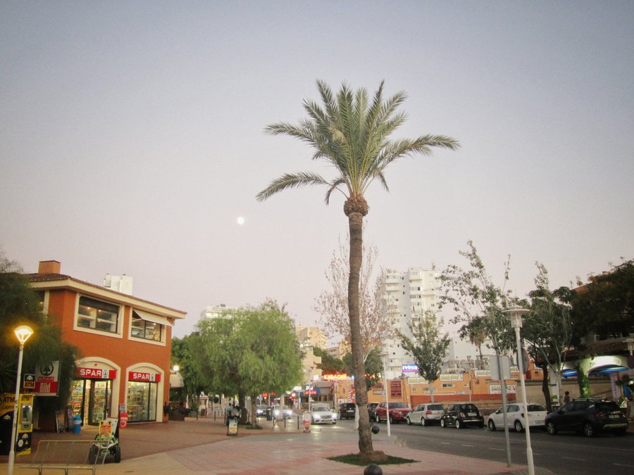 Magaluf boulevard