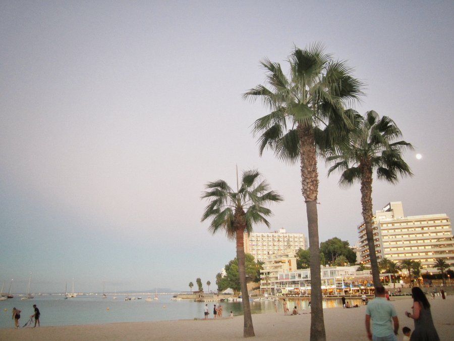 Magaluf boulevard