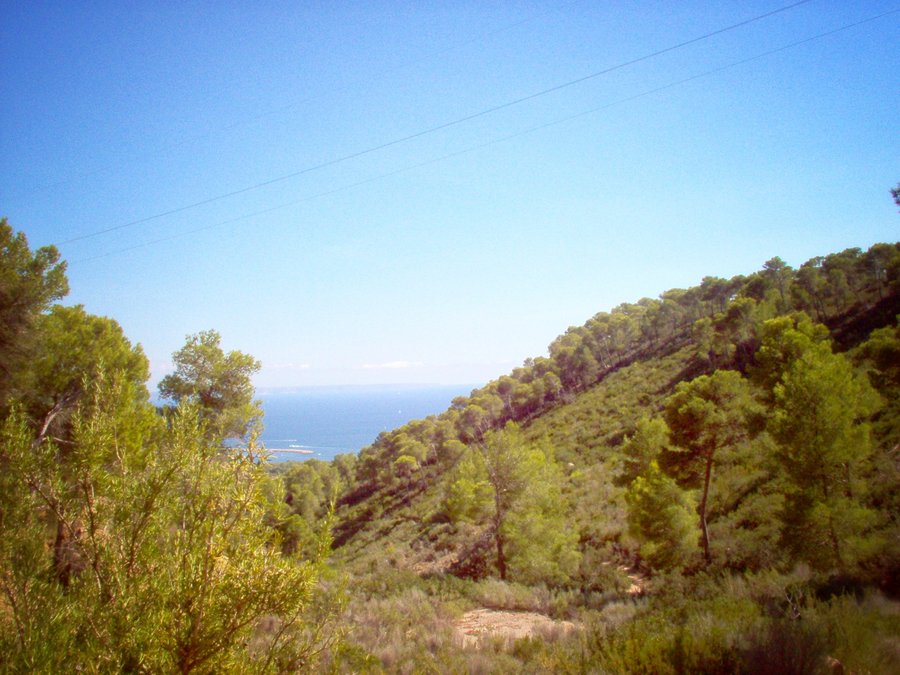 Hiking near Palma Nova - Mallorca