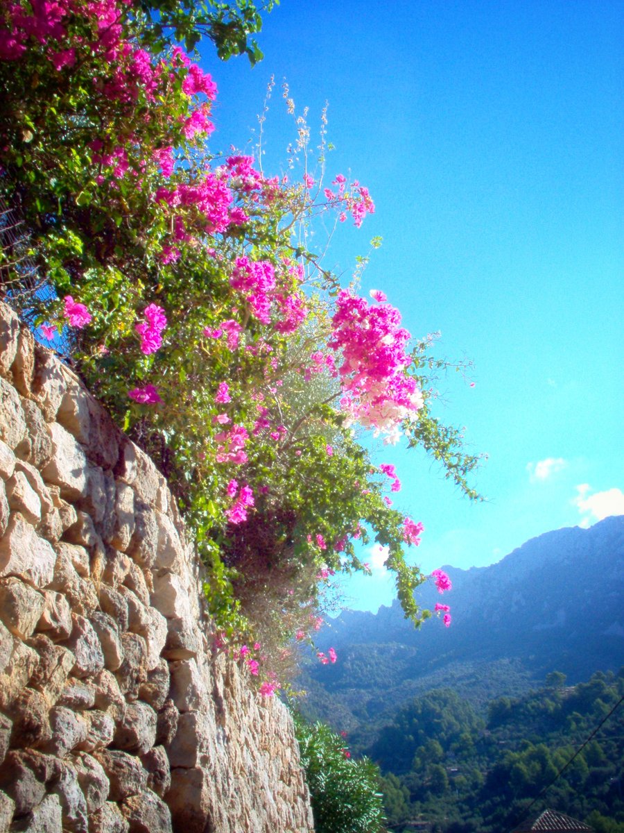 Fornalutx - Mallorca